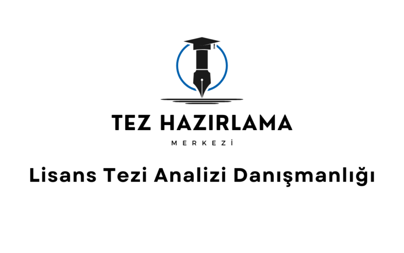 Lisans Tezi analiz